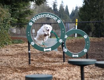 Dog park